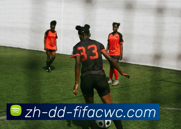 世界杯在线观看服务体系