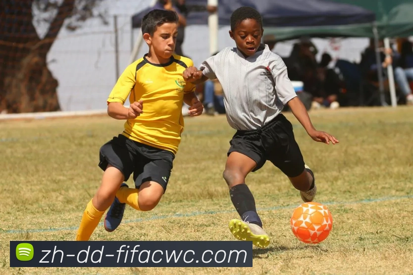 多媒体互动体验