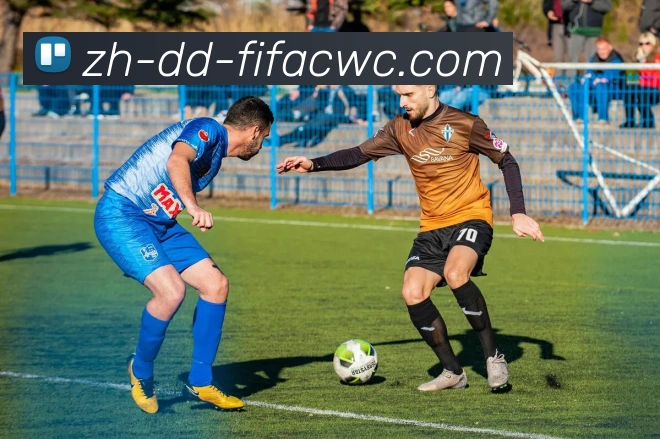 世界杯在线观看APP 体育赛事宣传图